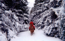 Canada-Quebec-Appalachian Romantic Winter Escape